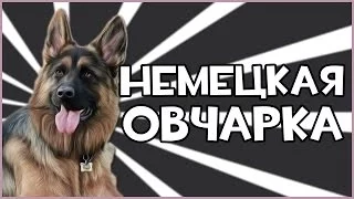 Прохождение игры Watch Dogs - Немецкая Овчарка #1