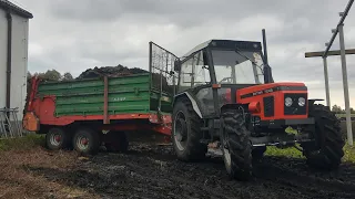 | Zetor 7245 vs Warfama N-218/P | Ursusy na przepale | Ciężka akcja obornik 2021 |