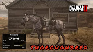 Red Dead Redemption 2 - Fastest Horse on The Game || Brindle Thoroughbred Gameplay and Review