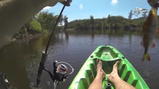 Kayak Redfin