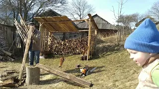 Gathering firewood for next winter -4
