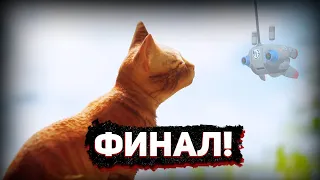 ТРОГАТЕЛЬНЫЙ ФИНАЛ ! Stray