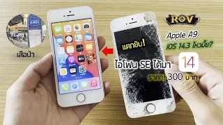 ROV ปรับสุด! กับ iPhone SE ปี 2021 ios 14.3 ลื่นมั้ย? ซื้อมา 300 บาท คุ้มมาก! (ถนน เสือป่า)