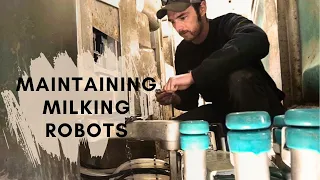 Maintaining Milking Robots · What's Involved? // 30
