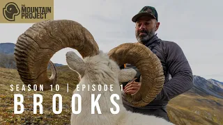 Brooks Range Dall Sheep Hunt: The Mountains #themountainproject #sheephunt #alaska