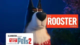 'The Secret Life of Pets 2' Rooster Trailer