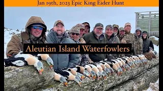 Epic King Eider hunt January,2023