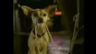 GODZILLA® (1998) - Taco Bell Commercial #1