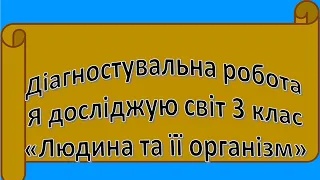 Дагностувальна робота з ЯДС 3 клас ІІ семестр.  "Людина та її організм". Варіант 2