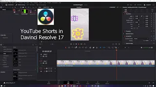 How To Make a YouTube Short In DaVinci Resolve 17