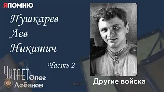 Пушкарев Лев Никитич Часть 2.Проект "Я помню" Артема Драбкина. Другие войска.