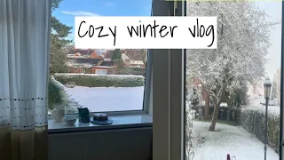 Slow living changed my life | Cozy & Snowy Day vlog | Silent Vlog | A cozy Winter Morning