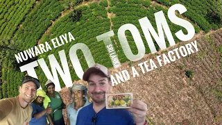 Ep 4 | Two Toms and a Tea Factory in Nuwara Eliya Sri Lanka LemonVlog #4