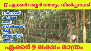 16 ഏക്കർ റബ്ബർ തോട്ടം /16acre rubber plantation acre₹9 lakh#forsale