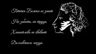 Птичка Божия не знает ни заботы, ни труда. Александр Сергеевич, это вы о чем?