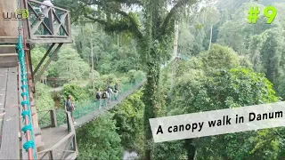 #9 - A canopy walk in Danum