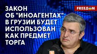 Задача закона об "иноагентах" в Грузии. Комментарий Васадзе