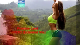 Promise Land - I N33D (Extended Mix)