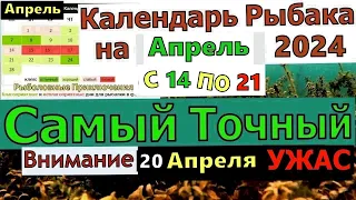 Прогноз клева рыбы на Эту неделю с 14 по 21 АПРЕЛЯ 2024 Календарь рыбака на апрель Лунный календарь