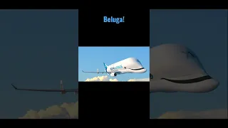 Airbus Beluga vs Boeing Dreamlifter! #aviation #shorts