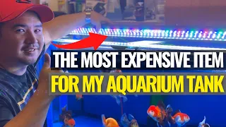 My ULTIMATE Aquarium LED UPGRADE! | FULL SPECTRUM LED LIGHTS