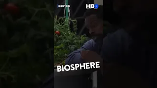 BIOSPHERE  | SterlingKBrown , MarkDuplass | Sci-FiMovie , biosphere | shorts