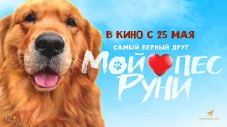 "МОЙ ПЁС РУНИ" В КИНО С 25 МАЯ (КОМЕДИЯ, 12+)