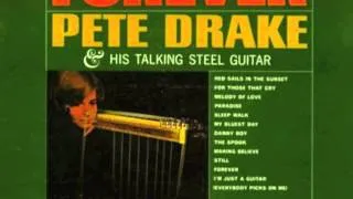 I'm Just A Guitar (Everybody Picks on Me) - Pete Drake - Forever (1964)