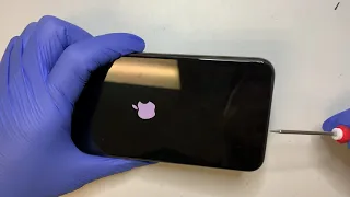 iPhone XS Max Apple Logo Loop Water Damage