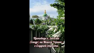 Проповедь о. Зосимы (Сокур) на преподобного Моисея Угрина о блудной страсти.