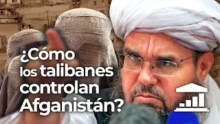 ¿Cómo los TALIBANES han dominado AFGANISTÁN? - VisualPolitik