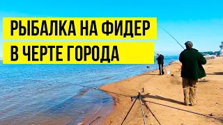 Рыбалка на Амуре. Ловля на фидер. В погоне за неуловимым сазаном