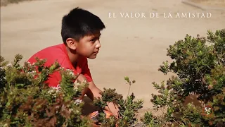 El Valor De la Amistad - Cortometraje