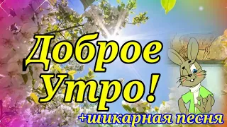 Доброе Утро! Шикарная Песня и Пожелание Доброго Утра и Хорошего Дня!