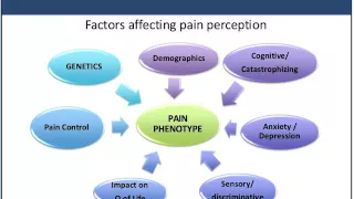 ERAS Webinar: Anticipating & Managing Post Op Pain