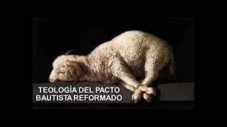 Coferencia No.1 - Teología del Pacto, Bautista reformado, ¿Que es un Pacto?, Pr. Pablo Prieto.