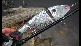 Making A SwimBait