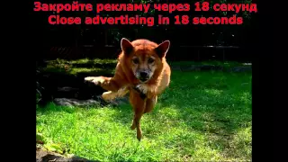 Funny Pranks   Pranks 2014   Funny Videos   Funny Fails   Funny Pepole   Funny Videos 0236