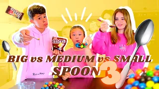 BIG Vs MEDIUM Vs SMALL Spoon Food Challenge Partie 3