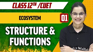 Ecosystem 01|Structure & Functions| Class 12th/CUET