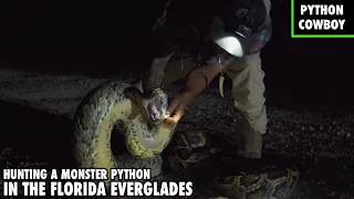 On The Hunt For A Monster Python In The Florida Everglades
