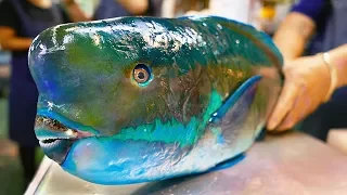 Japan Street Food - GIANT HUMPHEAD PARROTFISH Sashimi Okinawa Japanese