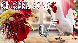 🐔🎶 "Funny Chicken Song and Rooster Dance" 🎶🐔 Chicken Dance Videos 2