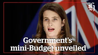 Nicola Willis details mini-Budget | nzherald.co.nz