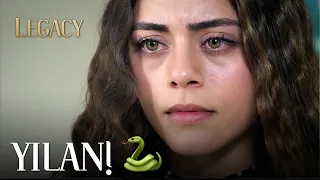 Canan's deception revealed | Legacy Episode 305