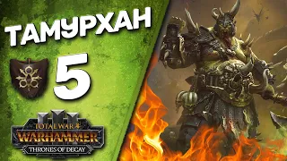 DLC Thrones of Decay - Total War: Warhammer 3 - (Легенда) - Тамурхан | Войско Личинок #5