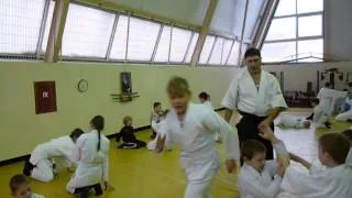 Russian Aikido Federation.