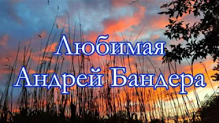 Андрей Бандера - Любимая - Спасибо небу за закат и за рассвет - С ТЕКСТОМ