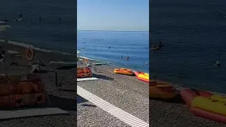 Лазаревское Чёрное море пляж дельфин Сочи