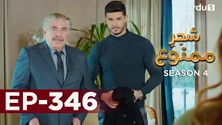 Shajar-e-Mamnu | Episode 346 | Turkish Drama  | Forbidden Fruit | Urdu Dubbing | 7 April 2022